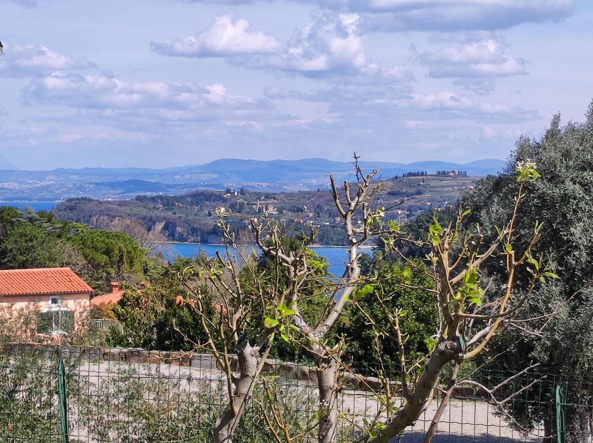Apartma Sonja 2 Piran Buitenkant foto